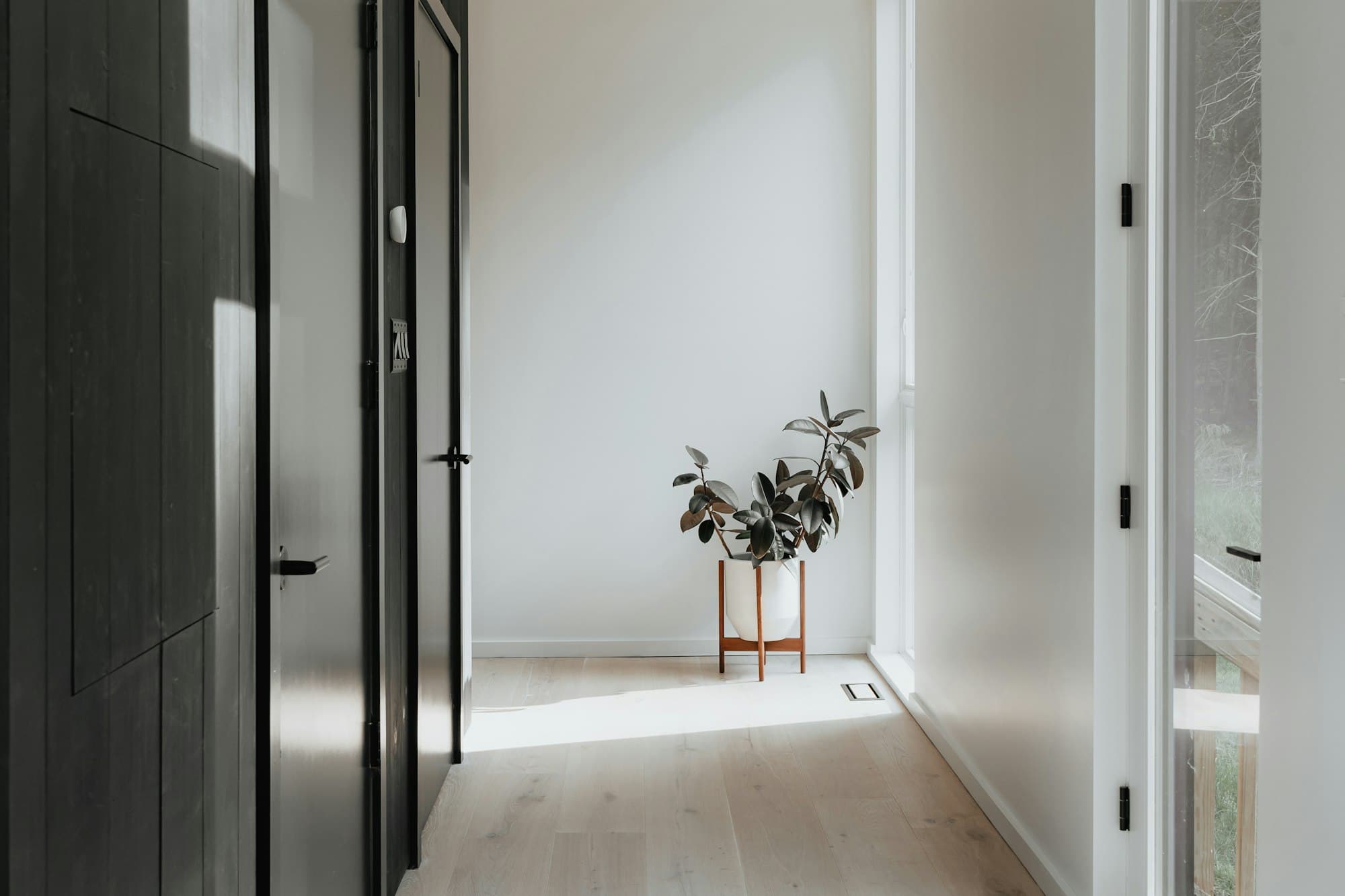A bright interior with a dark doorway opening